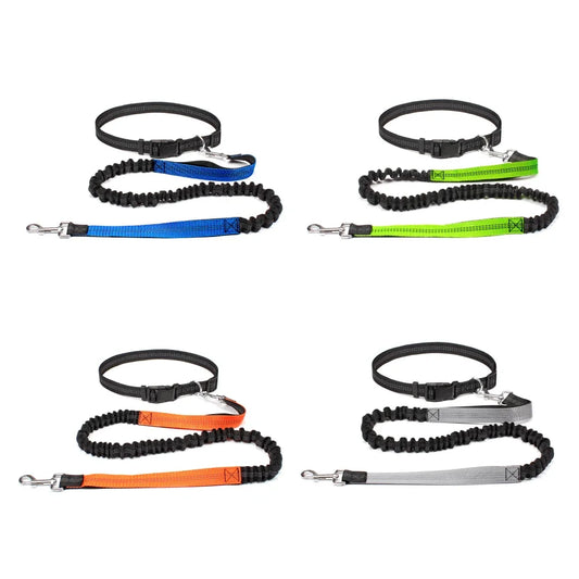 Hand Free Dog Leash.