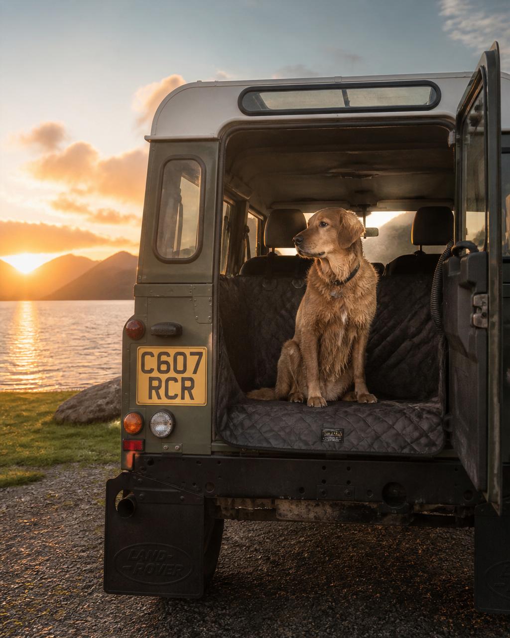 Golden retriever sitting in Land Rover at sunset by the lake