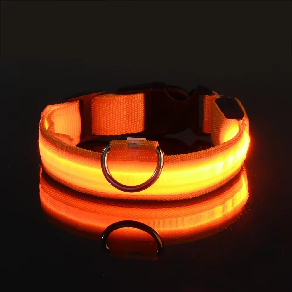 Nightglow Pro — LED Safety Leash