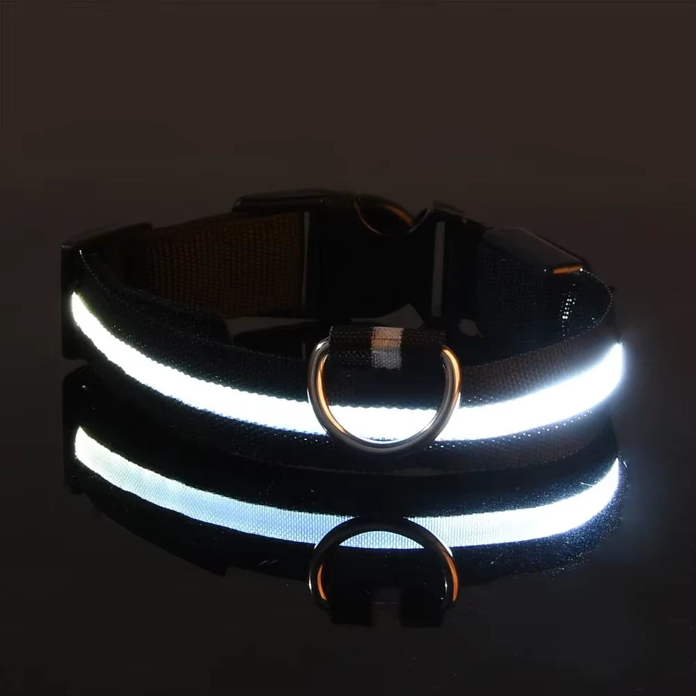 Nightglow Pro — LED Safety Leash