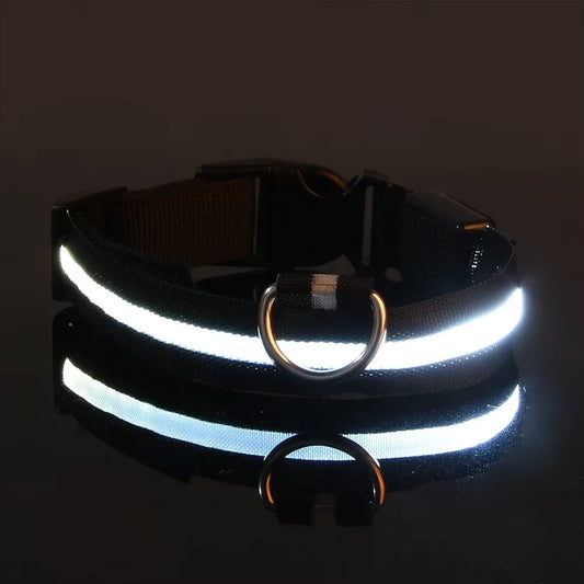 Nightglow Pro — LED Safety Leash