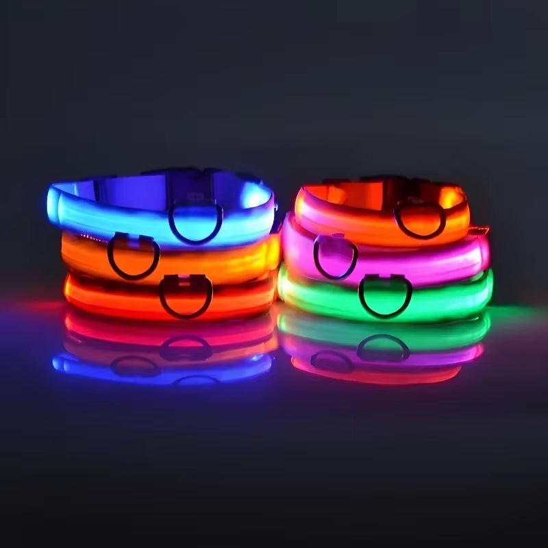 Nightglow Pro — LED Safety Leash
