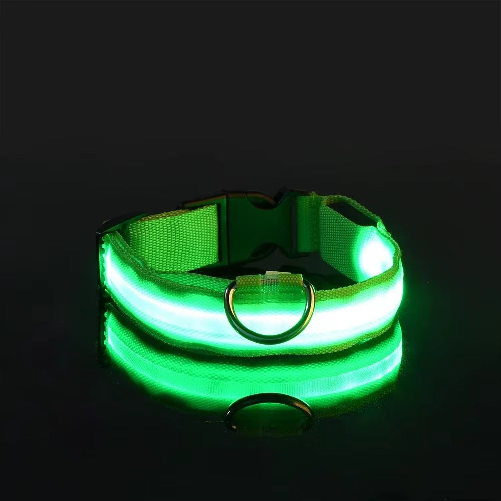 Nightglow Pro — LED Safety Leash