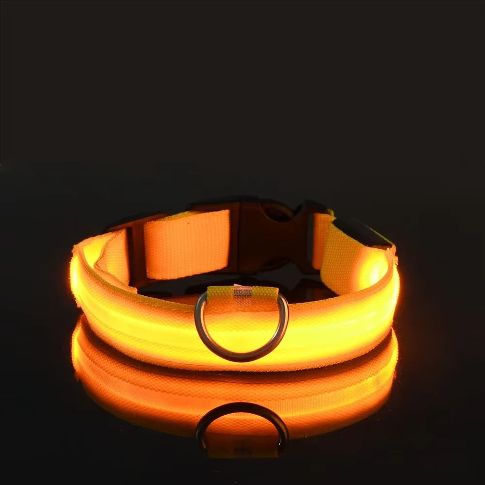 Nightglow Pro — LED Safety Leash