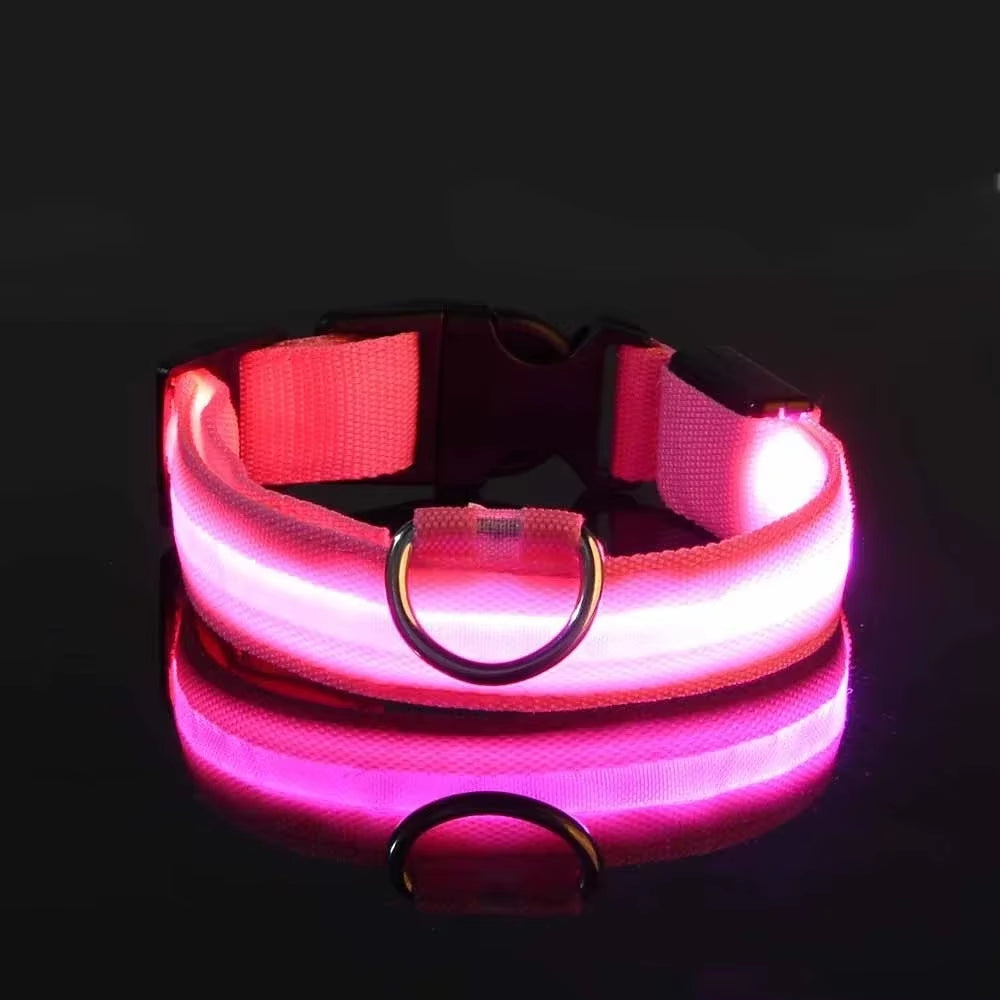 Nightglow Pro — LED Safety Leash