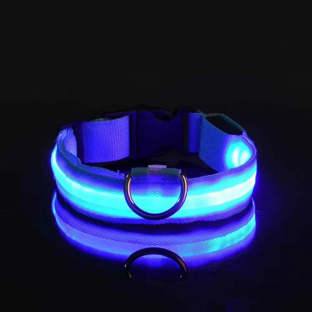 Nightglow Pro — LED Safety Leash