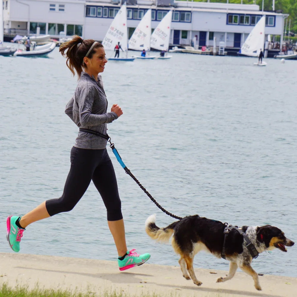 Hand Free Dog Leash.