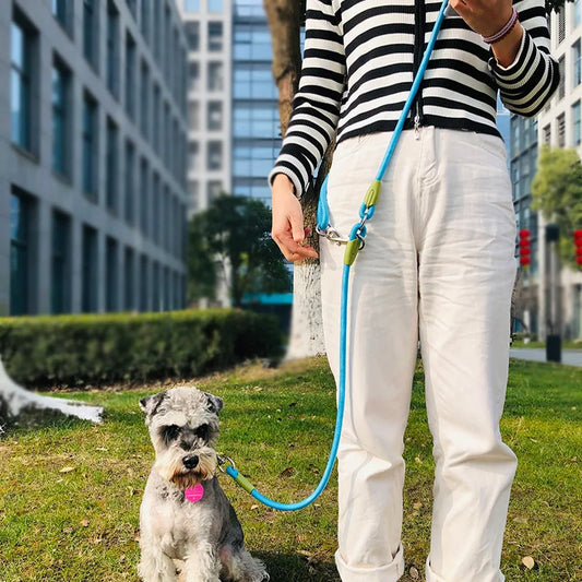 GlowRun Pro — Reflective Running Leash
