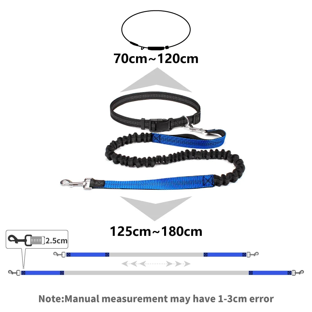 Hand Free Dog Leash.