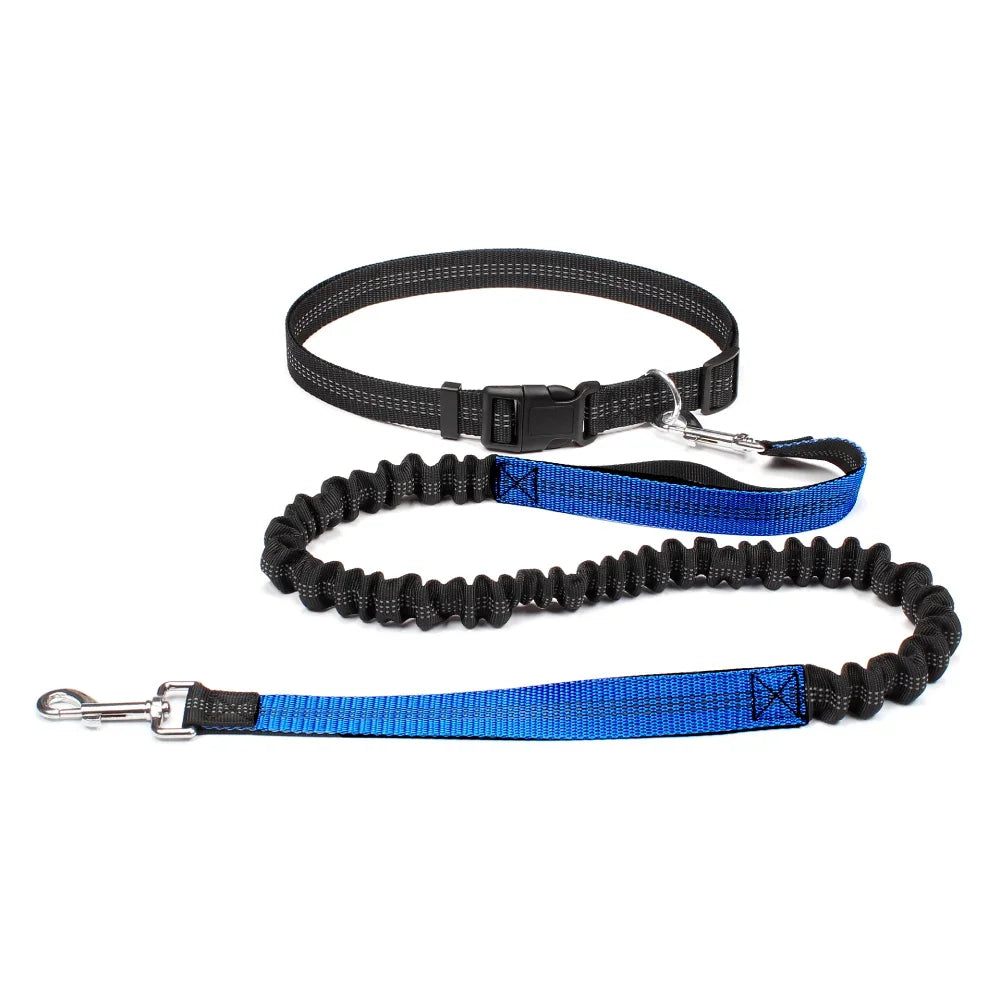 Hand Free Dog Leash.