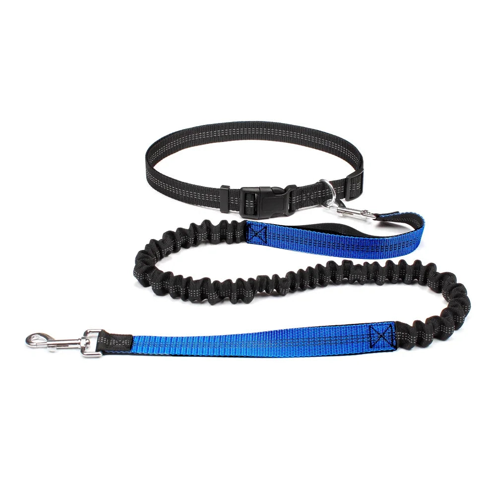 Hand Free Dog Leash.