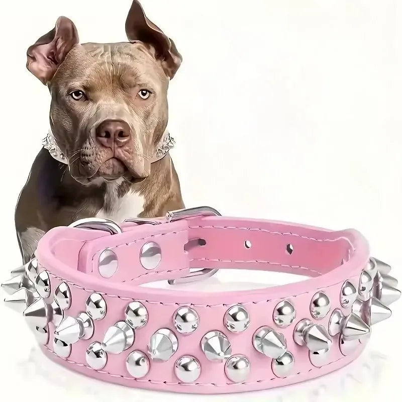 DailyPaw Pro — Adjustable Everyday Collar