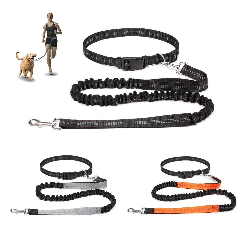 Hand Free Dog Leash.