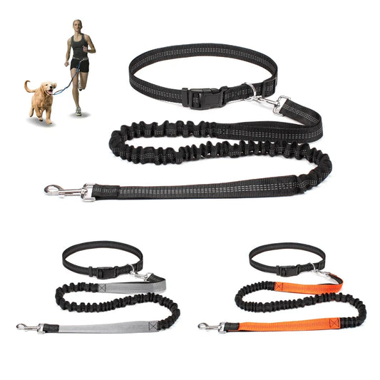 Hand Free Dog Leash.