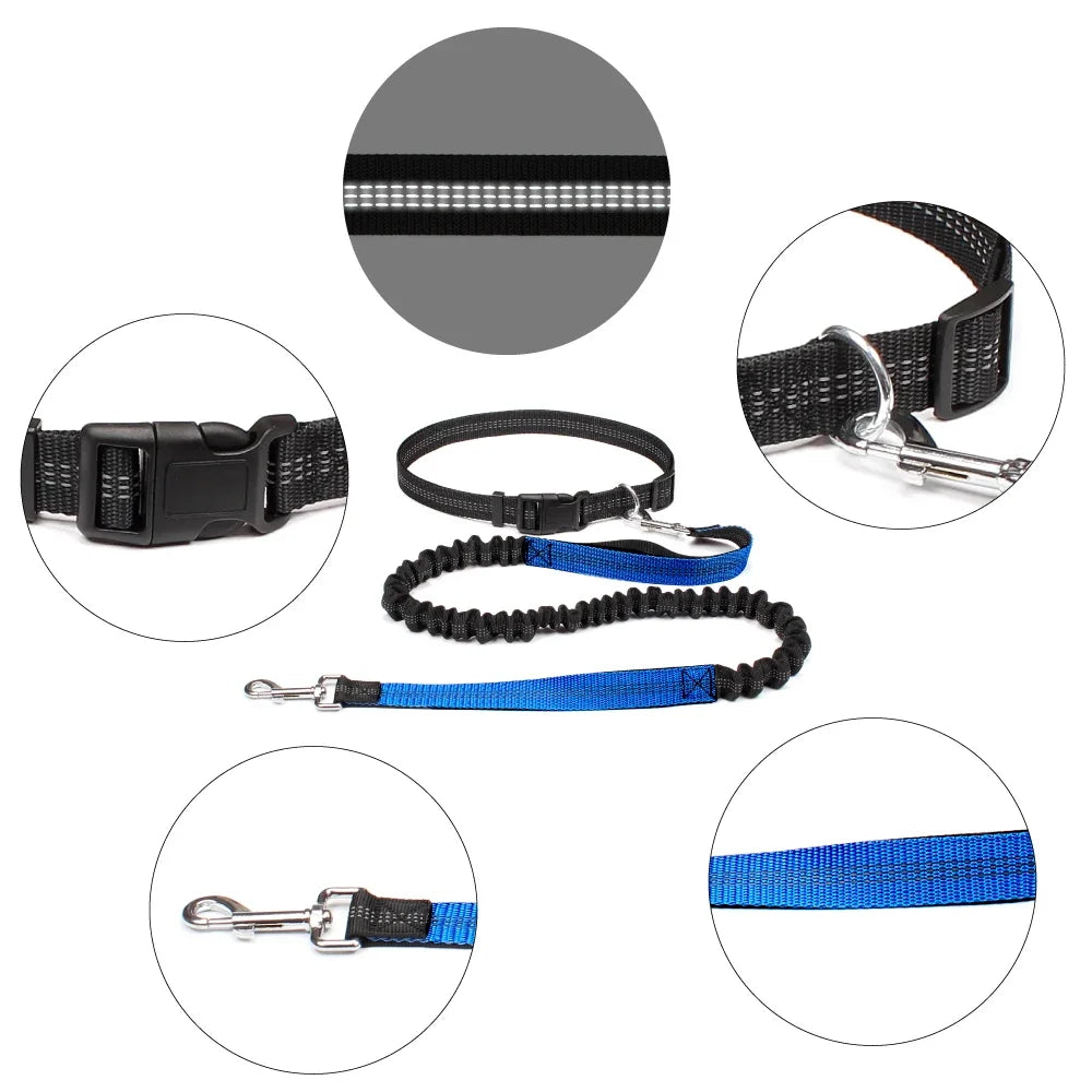 Hand Free Dog Leash.
