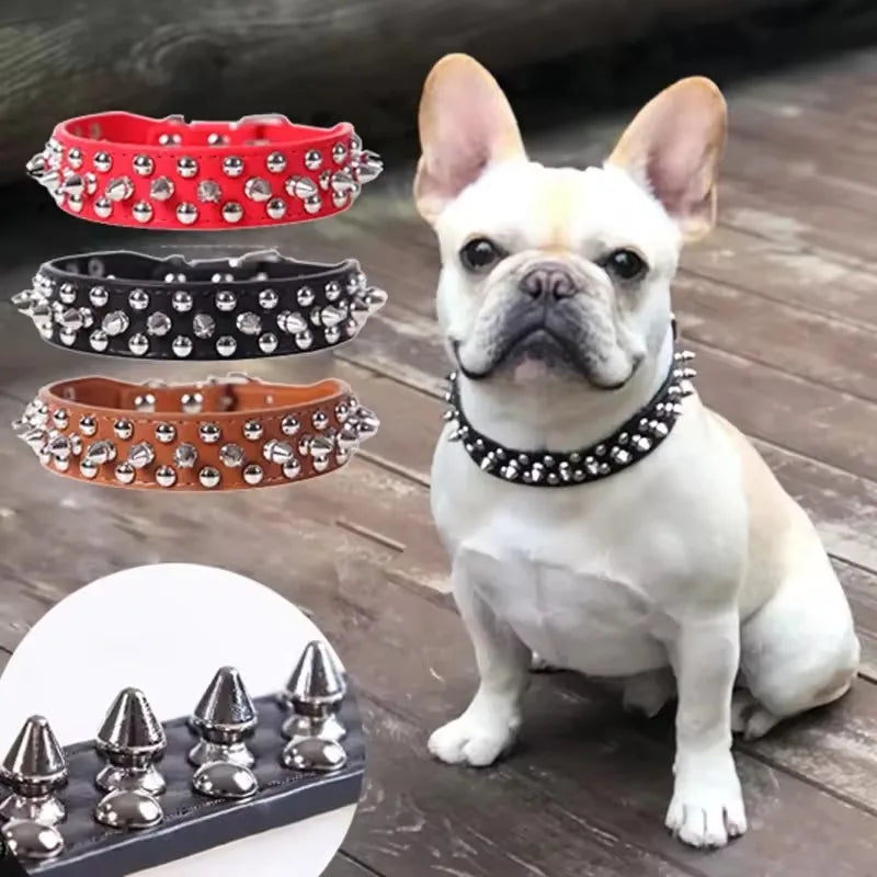 DailyPaw Pro — Adjustable Everyday Collar