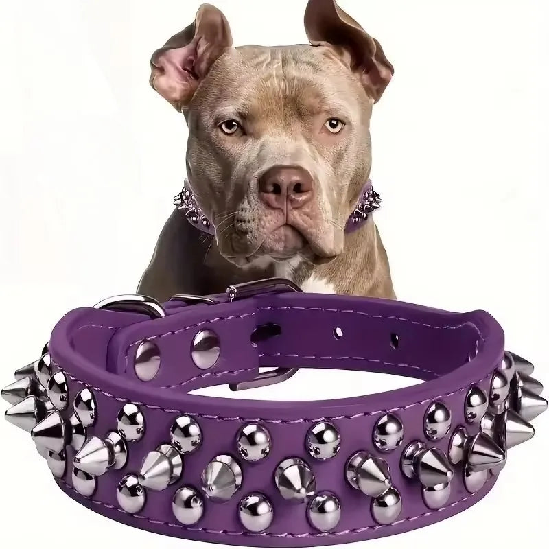 DailyPaw Pro — Adjustable Everyday Collar