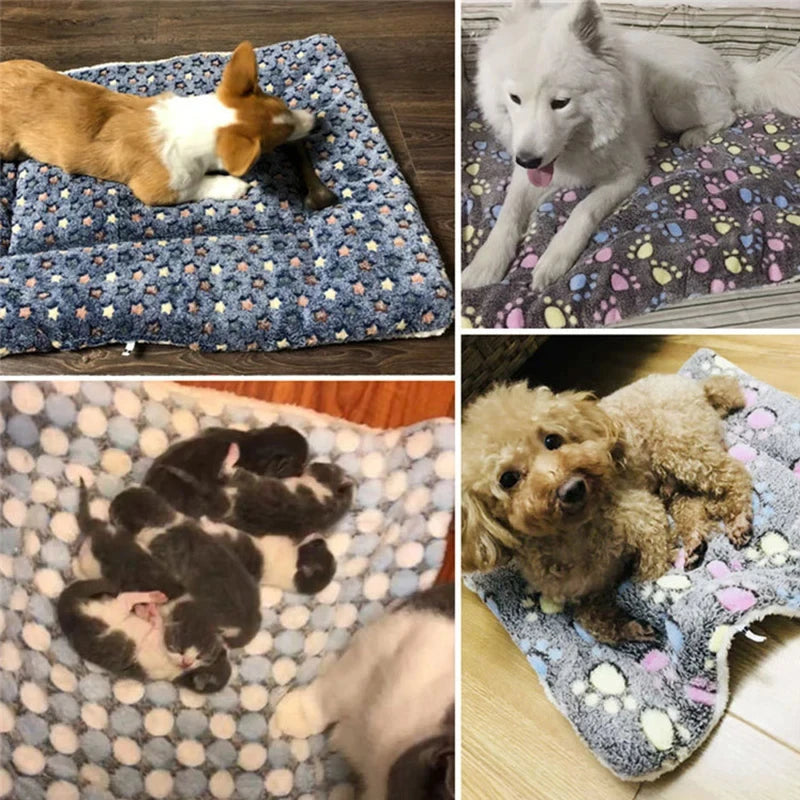 BasePaw Pro — Portable Trail Rest Mat