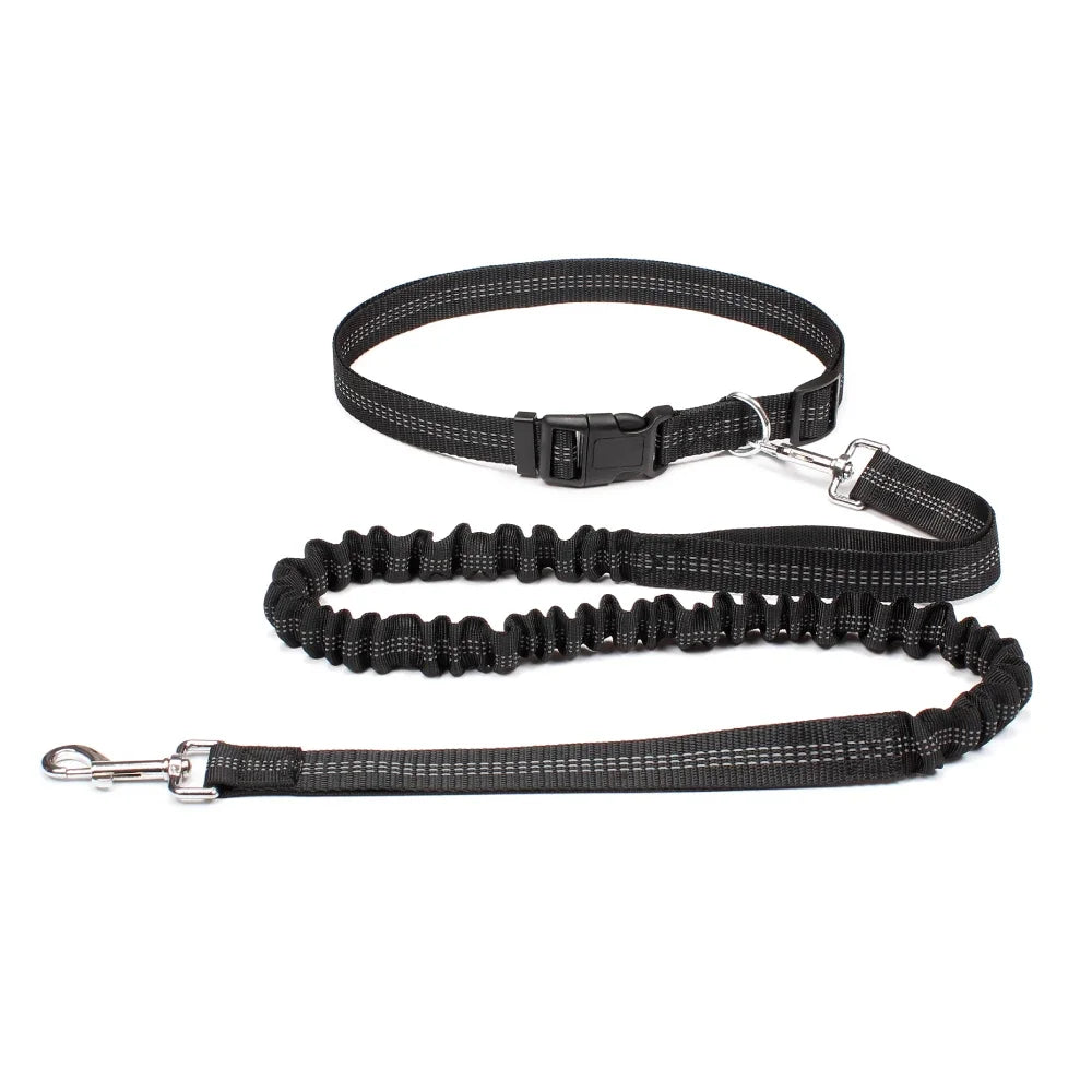 Hand Free Dog Leash.