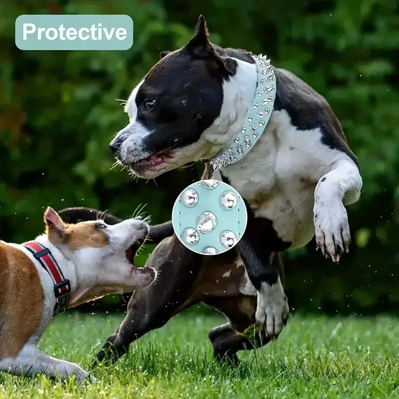 DailyPaw Pro — Adjustable Everyday Collar