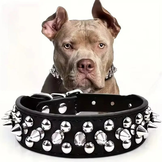 DailyPaw Pro — Adjustable Everyday Collar