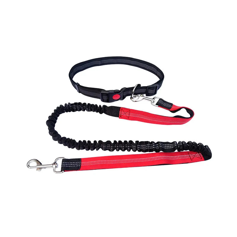 Hand Free Dog Leash.