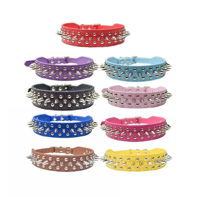 DailyPaw Pro — Adjustable Everyday Collar