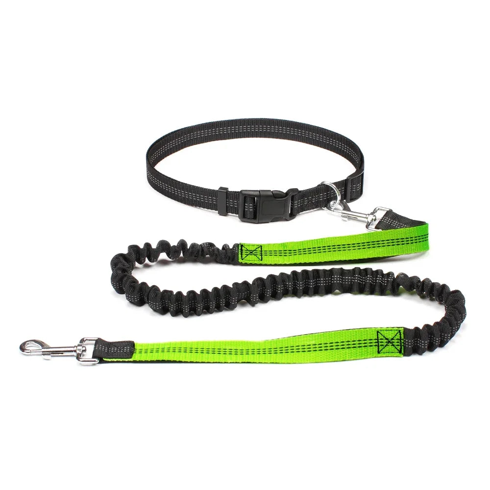 Hand Free Dog Leash.