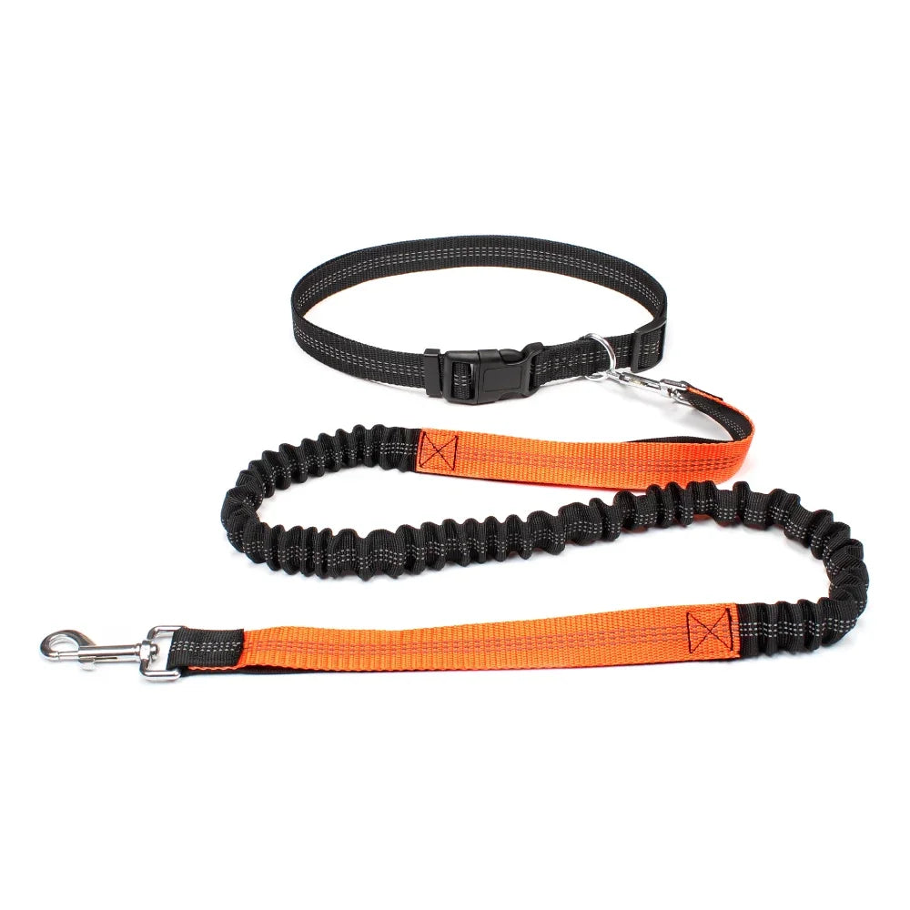 Hand Free Dog Leash.