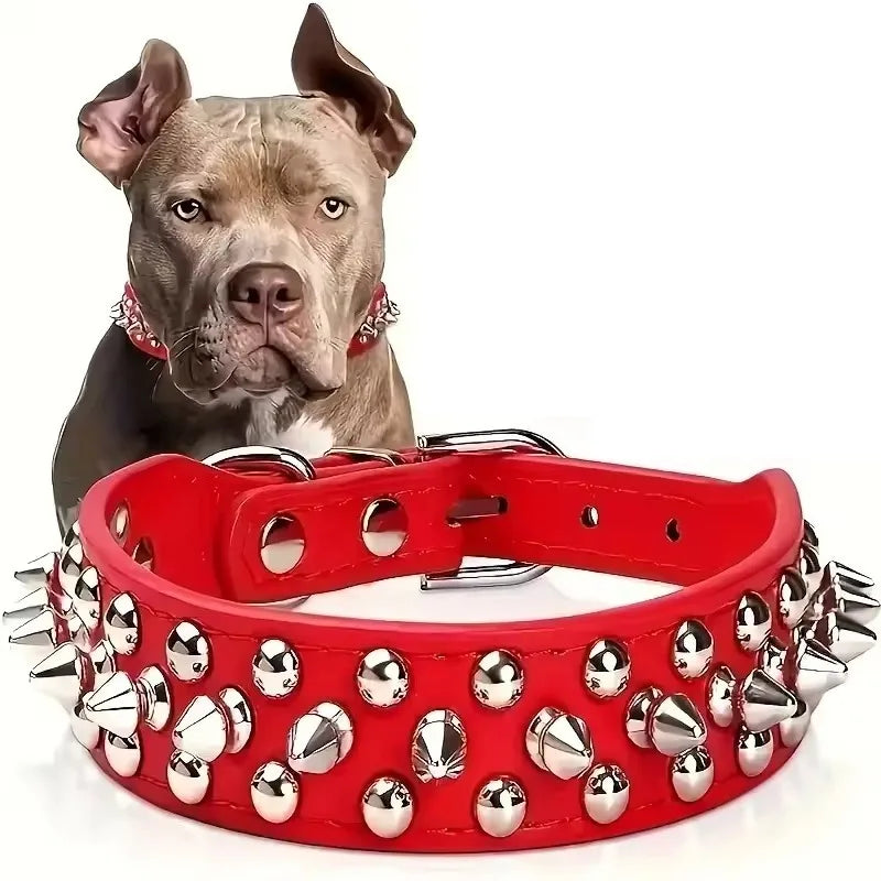 DailyPaw Pro — Adjustable Everyday Collar