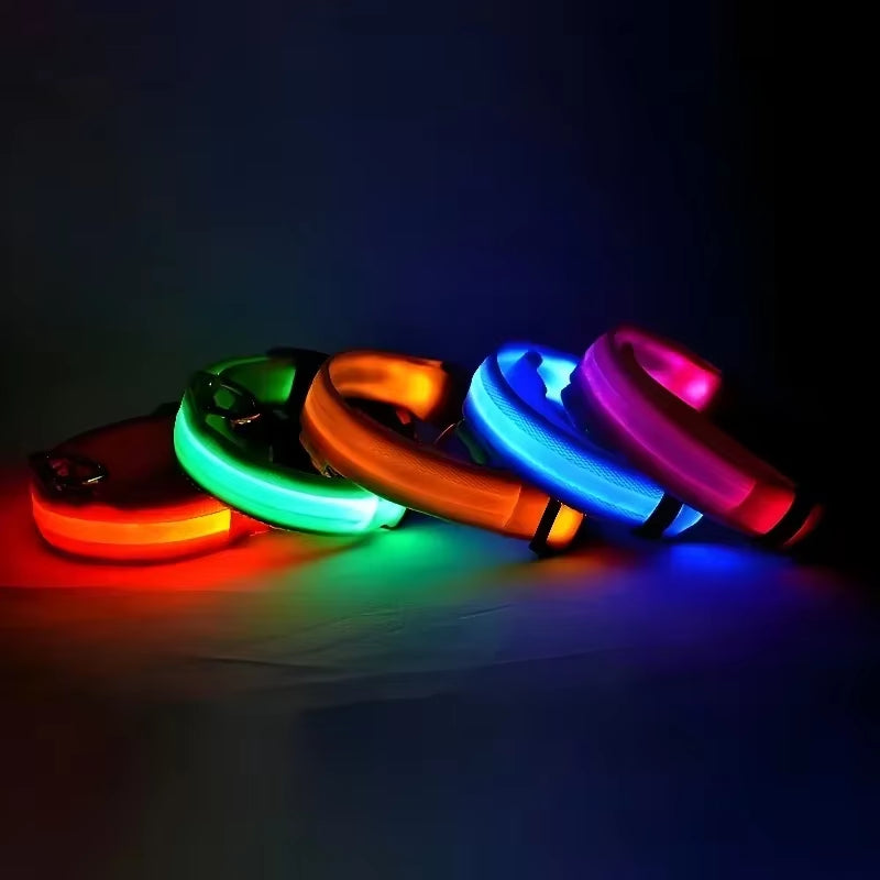 Nightglow Pro — LED Safety Leash