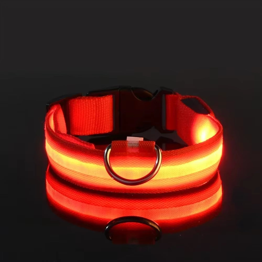 Nightglow Pro — LED Safety Leash