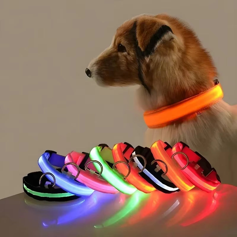 Nightglow Pro — LED Safety Leash